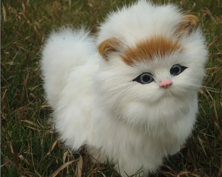 about 18x15x8cm simulation cat lovely cat doll, make miaow voice ,children's gift w5359
about 18x15x8cm simulation cat lovely cat doll, make miaow voice ,children's gift w5359