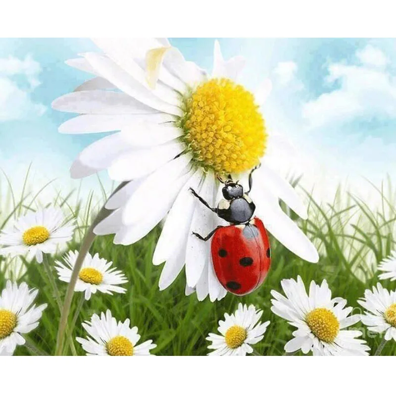 Diamond Painting Full Drill Ladybug Daisies Mosaic 5D Diamond Painting Cross Stitch Embroidery Home Decorative Hobbies Crafts
Diamond Painting Full Drill Ladybug Daisies Mosaic 5D Diamond Painting Cross Stitch Embroidery Home Decorative Hobbies Crafts