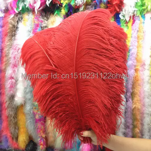 natural red ostrich feather 45-50 cm / 18 to20 inches 50 pcs ostrich feather for wedding decorations high quality plume
natural red ostrich feather 45-50 cm / 18 to20 inches 50 pcs ostrich feather for wedding decorations high quality plume