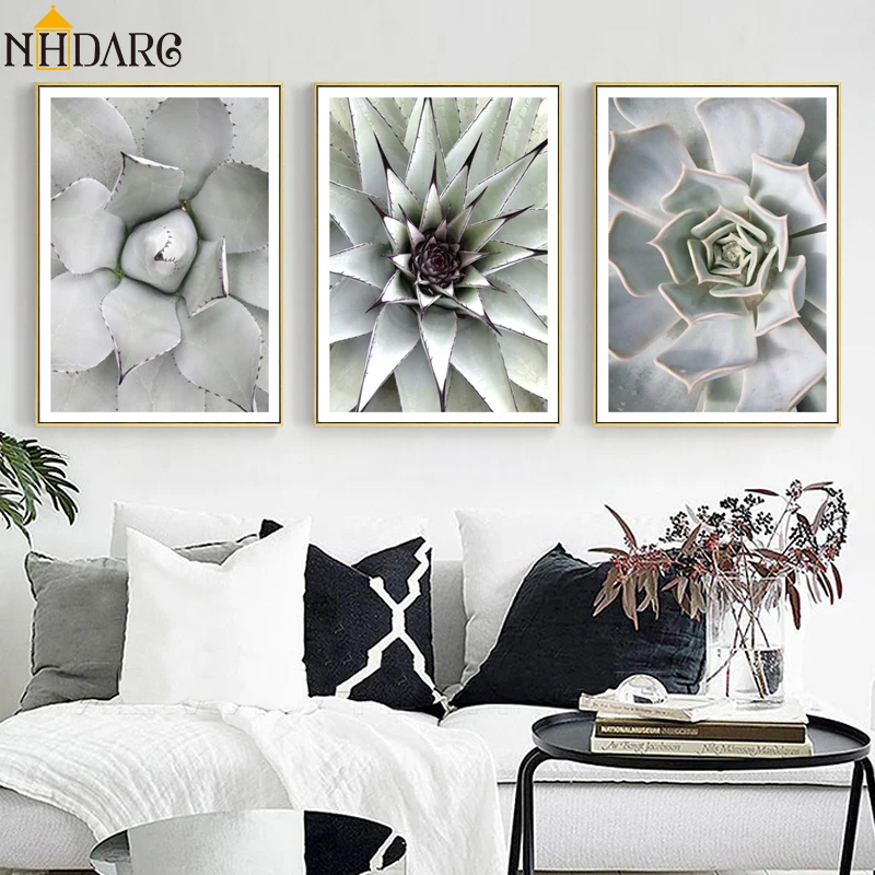 Nordic Fresh Succulent Cactus Green Plants Poster and Prints Canvas Art Painting Wall Pictures for Living Room Home Decor
Nordic Fresh Succulent Cactus Green Plants Poster and Prints Canvas Art Painting Wall Pictures for Living Room Home Decor
