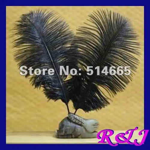 Free shipping 100pcs/lot 10-12inch 25-30cm black dyed Ostrich drab feather ostrich plumes
Free shipping 100pcs/lot 10-12inch 25-30cm black dyed Ostrich drab feather ostrich plumes