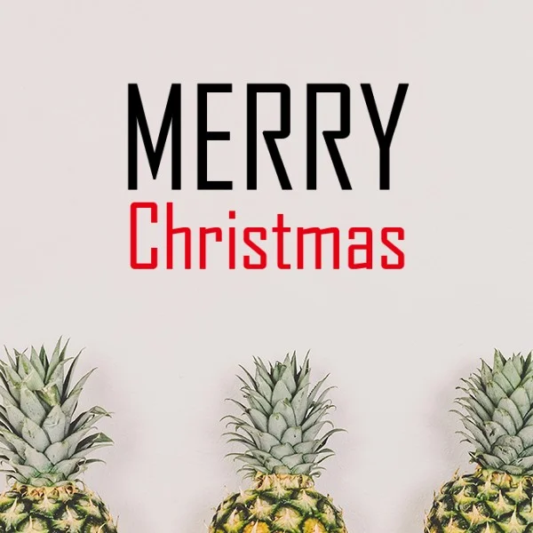 Celebrate Christmas Blessing Festival Holiday Gala Celebration Words Removable Wall Sticker Art Decals Wallpaper for Room Decal
Celebrate Christmas Blessing Festival Holiday Gala Celebration Words Removable Wall Sticker Art Decals Wallpaper for Room Decal
