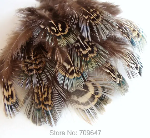 Wholesale,200Pcs/Lot,4-7cm Nature GREEN ALMONDS, Ringneck Pheasant Plumage feathers for jewelry making, hair accessories
Wholesale,200Pcs/Lot,4-7cm Nature GREEN ALMONDS, Ringneck Pheasant Plumage feathers for jewelry making, hair accessories