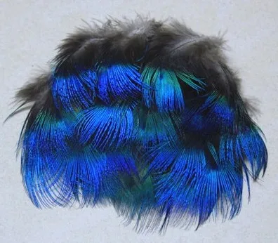 Hot sale! 200pcs/Lot Approx 5cm BLUE PEACOCK BODY PLUMAGE FEATHERS Freeshipping
Hot sale! 200pcs/Lot Approx 5cm BLUE PEACOCK BODY PLUMAGE FEATHERS Freeshipping