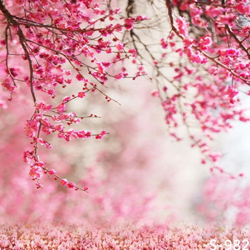 Виниловый фон для студийной фотосъемки с изображением ярко-розовых персиковых цветов ветвей туннелей сада лепестков 8x8 футов 10x10 8x12
Виниловый фон для студийной фотосъемки с изображением ярко-розовых персиковых цветов ветвей туннелей сада лепестков 8x8 футов 10x10 8x12