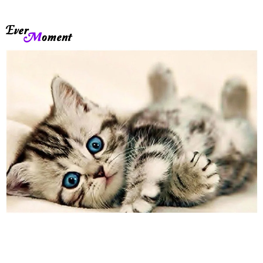 baby cat 3D DIY diamond painting cross stitch diamond embroidery Europe home decoration full square animal series ASF229
baby cat 3D DIY diamond painting cross stitch diamond embroidery Europe home decoration full square animal series ASF229