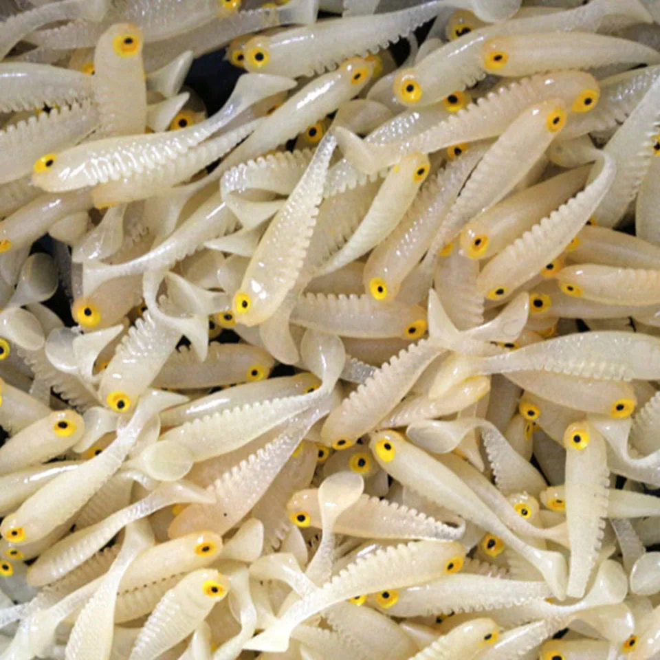 20Pcs/lot Silicone fish shaped fishing Artificial lure bait 5cm Luminous soft Silicone Tiddler Bait fishing lure
20Pcs/lot Silicone fish shaped fishing Artificial lure bait 5cm Luminous soft Silicone Tiddler Bait fishing lure