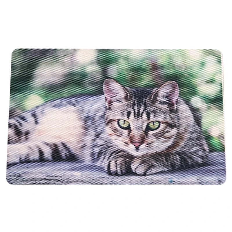 2019 NEW Pet Cat Durable PVC Cat Litter Pad Placemat Foot Mat Cat Litter Mat Suitable For Claw Grinding cat mat High Quality
2019 NEW Pet Cat Durable PVC Cat Litter Pad Placemat Foot Mat Cat Litter Mat Suitable For Claw Grinding cat mat High Quality