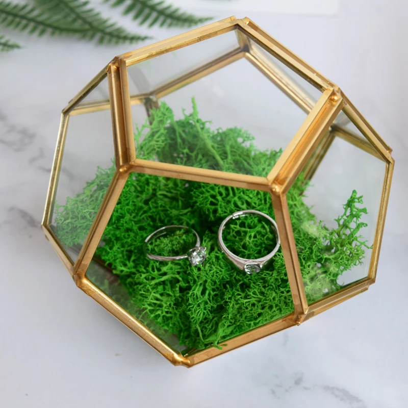 Irregular Glass Geometric Succulent Planter Vase Terrarium Container DIY Box Jewelry Ring Bearer Pillow For Wedding Decorations
Irregular Glass Geometric Succulent Planter Vase Terrarium Container DIY Box Jewelry Ring Bearer Pillow For Wedding Decorations