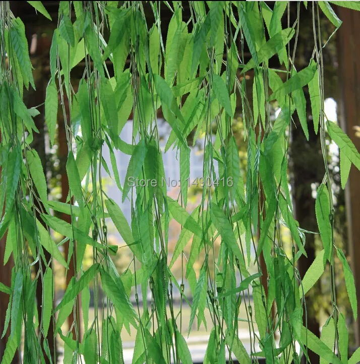 50pcs Artificial wicker Leaf Vines Green Plant For Wedding Home Wall Decoration willow twig sallow Fake Leaves Rattan
50pcs Artificial wicker Leaf Vines Green Plant For Wedding Home Wall Decoration willow twig sallow Fake Leaves Rattan