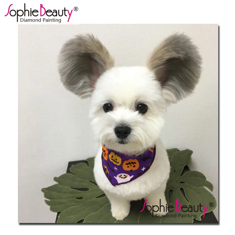 Sophie Beauty, новинка, вышивка крестиком, сделай сам, алмазная живопись, полностью Стразы, ручная работа, мозаика, Набор для вышивания собак, домаш...
Sophie Beauty, новинка, вышивка крестиком, сделай сам, алмазная живопись, полностью Стразы, ручная работа, мозаика, Набор для вышивания собак, домаш...