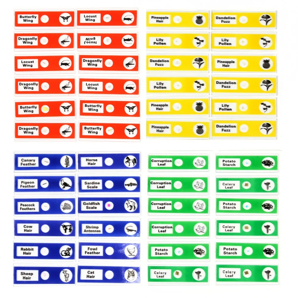 12pcs/48pcs Plastic Microscope Slides Biological Specimen with for Children Student Microscope Enlighten Education
12pcs/48pcs Plastic Microscope Slides Biological Specimen with for Children Student Microscope Enlighten Education