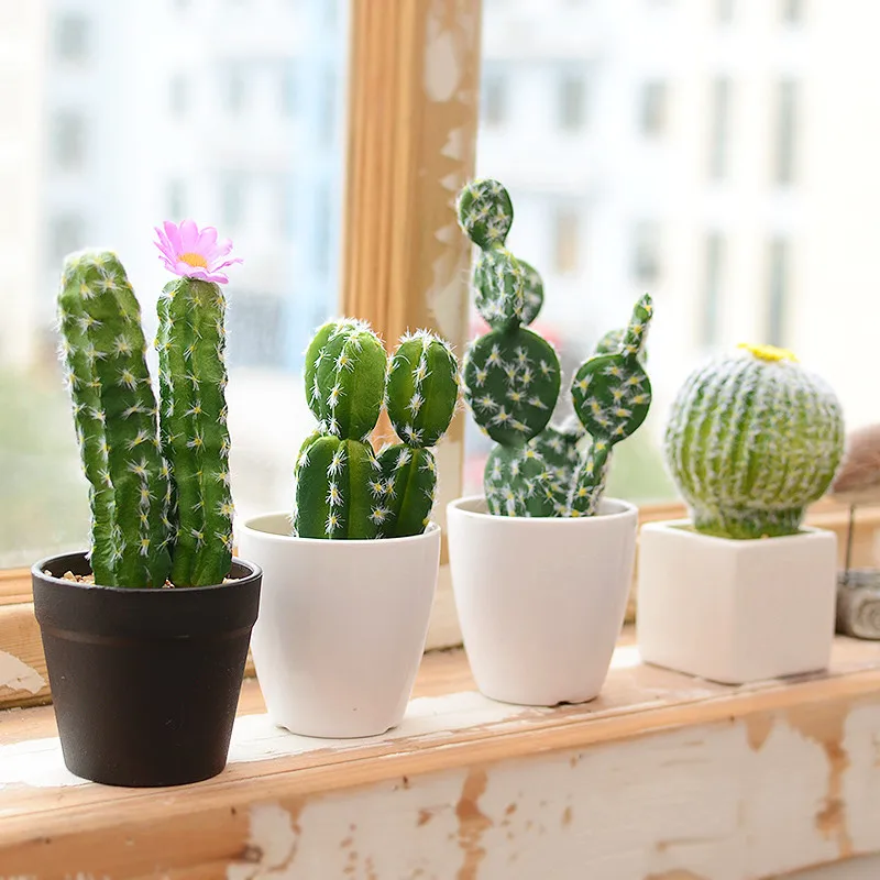 Artificial Succulents Cactus Green Plant Simulation Plants Fake Flowers DIY Home Decoration Desert Plants Landscape
Artificial Succulents Cactus Green Plant Simulation Plants Fake Flowers DIY Home Decoration Desert Plants Landscape