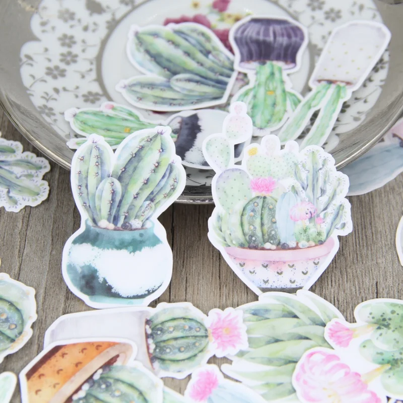 22pcs Beautiful Watercolor Plants Potted Cactus Diary Decorative Sticker Flower Natural Sticker for Laptop Computer Hydro Flask
22pcs Beautiful Watercolor Plants Potted Cactus Diary Decorative Sticker Flower Natural Sticker for Laptop Computer Hydro Flask