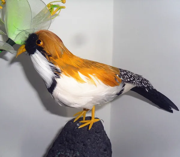 large 25cm simulation bird beautiful feathers Zebra Finch bird model handicraft prop,home garden decoration gift p2570
large 25cm simulation bird beautiful feathers Zebra Finch bird model handicraft prop,home garden decoration gift p2570