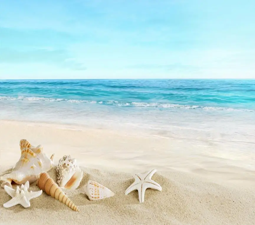 3D Wallpaper Mural Decor Photo Backdrop Beach 3D Starfish Floor PVC Wall Paper Self-adhesive Floor Mural
3D Wallpaper Mural Decor Photo Backdrop Beach 3D Starfish Floor PVC Wall Paper Self-adhesive Floor Mural