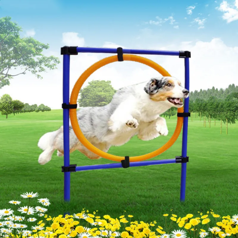 2017 Puppy Outdoor Exercise Training Supplies Pet Sports Equipment Training Toys Dogs High Jump Outdoor Jumping Through a Circle
2017 Puppy Outdoor Exercise Training Supplies Pet Sports Equipment Training Toys Dogs High Jump Outdoor Jumping Through a Circle