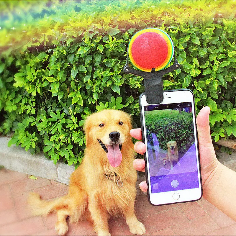 New Upgraded Black Selfie For Dog Selfie Attachment Ball Pets Dog Iphone Pet Selfie Stick Clip Fanny Slingshot Dog-selfie-stick
New Upgraded Black Selfie For Dog Selfie Attachment Ball Pets Dog Iphone Pet Selfie Stick Clip Fanny Slingshot Dog-selfie-stick