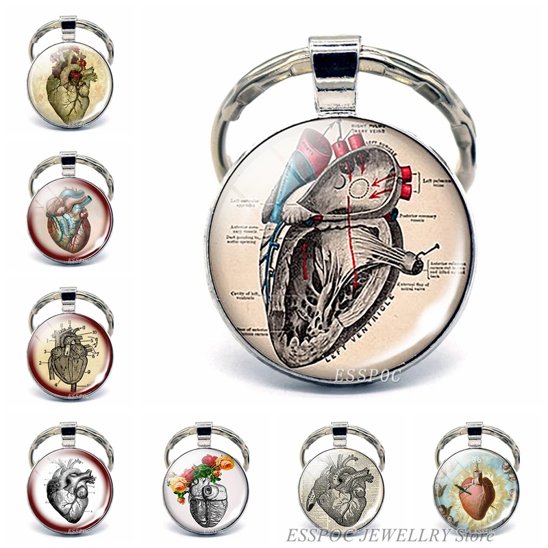 

Anatomical Heart Key Chain Key Chain Glass Metal Keychain Keyring Heartbeat Sign Pendant Biologist Doctors Gifts
