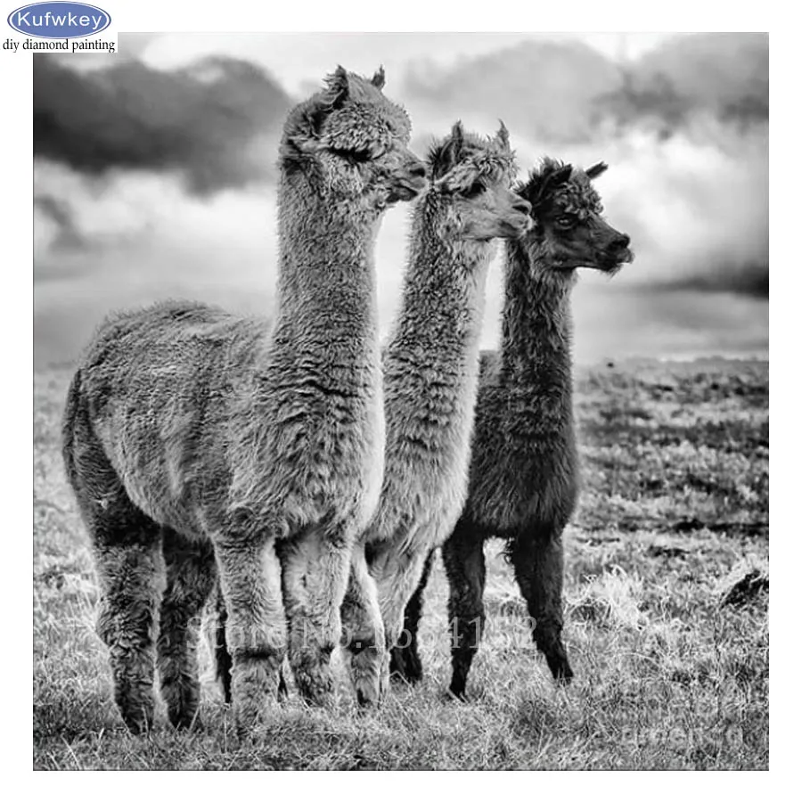 DIY 5D Diamond painting Black and white Alpaca Full Square Diamond mosaic Diamond embroidery Cross-stitch Wall Pop Art B870
DIY 5D Diamond painting Black and white Alpaca Full Square Diamond mosaic Diamond embroidery Cross-stitch Wall Pop Art B870