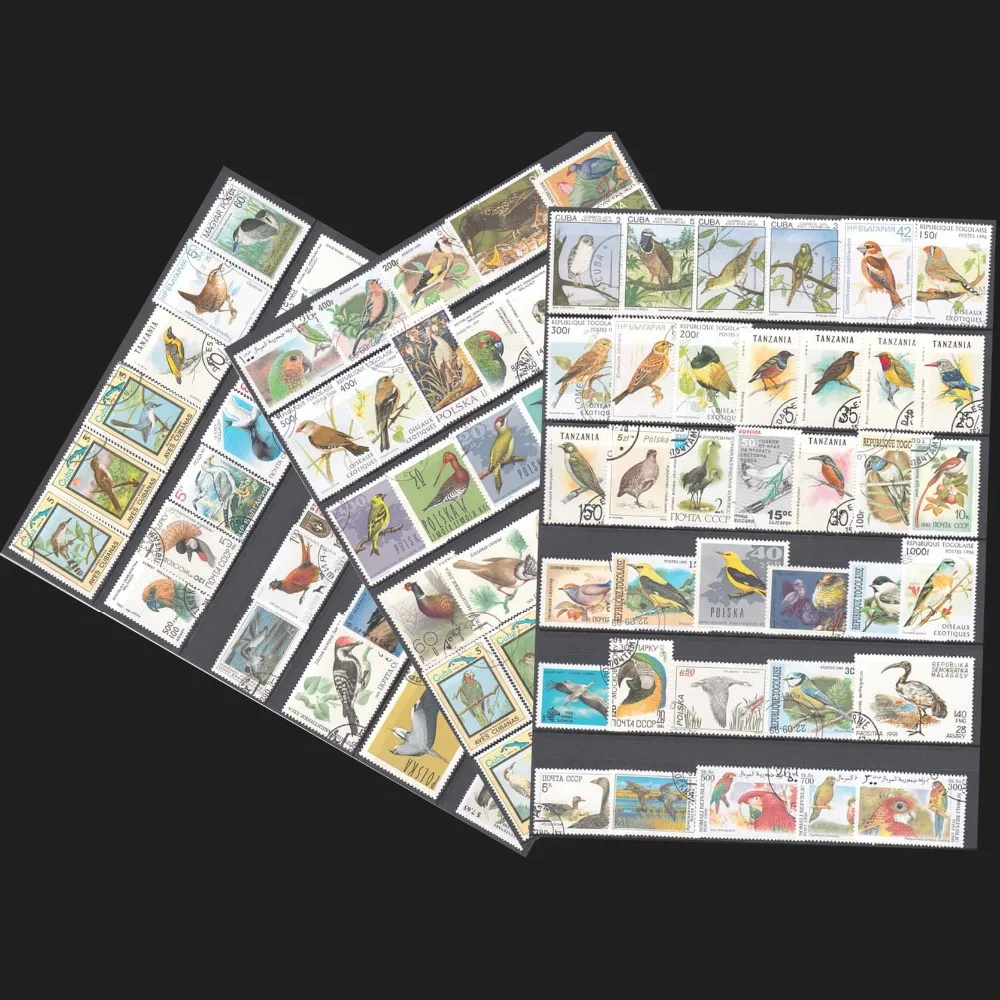 Topic Birds , 100 pieces/lot No Repeat , All From The World Wide Unused With Post Mark Birds Postage Stamps Collecting 
Topic Birds , 100 pieces/lot No Repeat , All From The World Wide Unused With Post Mark Birds Postage Stamps Collecting