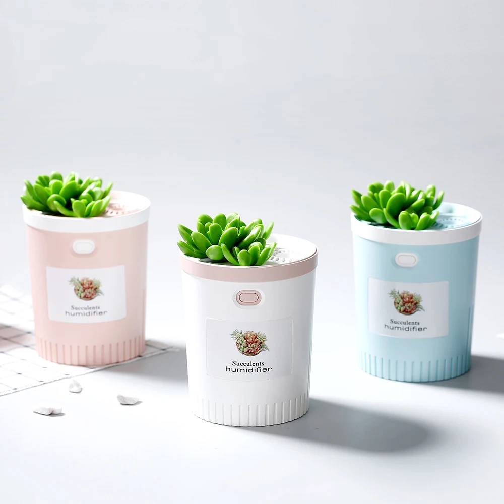 USB Succulents Air Humidifier With Night Light Timing Aromatherapy Diffuser Mist Maker Fogger Mini Aroma Atomizer 350ml For Home
USB Succulents Air Humidifier With Night Light Timing Aromatherapy Diffuser Mist Maker Fogger Mini Aroma Atomizer 350ml For Home