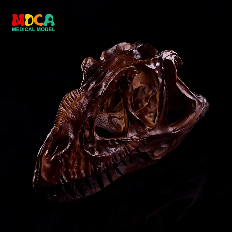 Dinosaur skull resin skull brown horns personality home furnishings personal decoration family decoration KLGT018
Dinosaur skull resin skull brown horns personality home furnishings personal decoration family decoration KLGT018