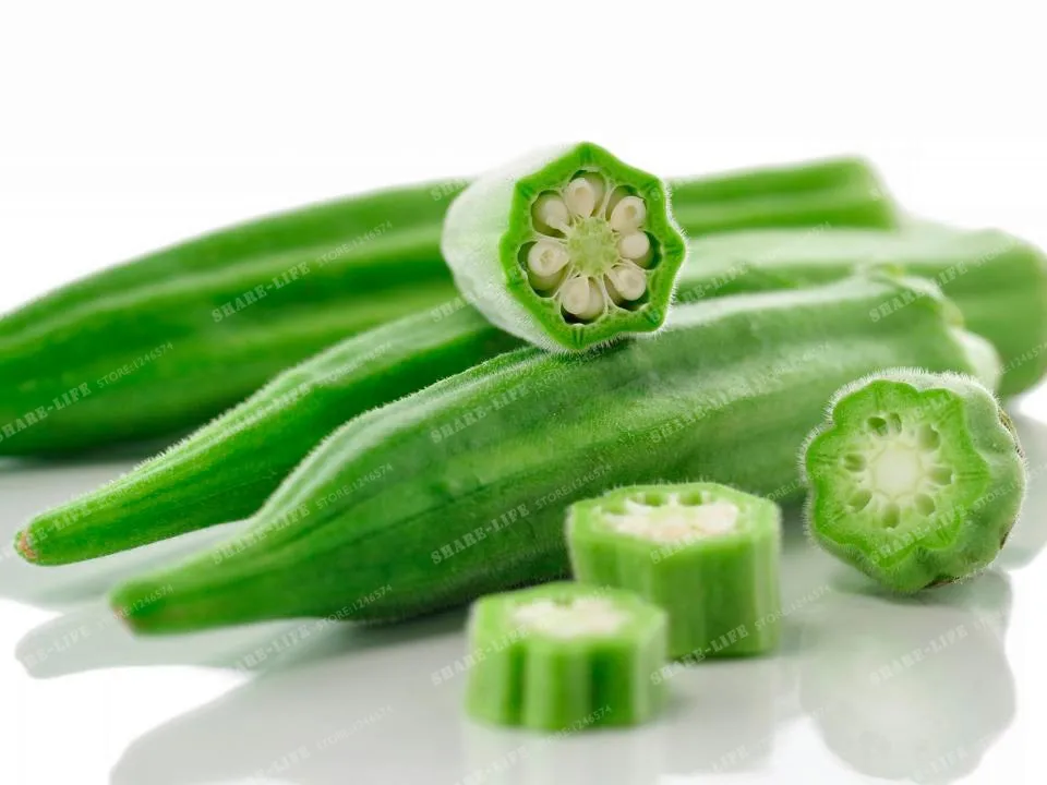 20 Pcs Okra Bonsai Health Vegetable Abelmoschus Esculentus Hibiscus Esculentus Bonsai Organic Green Vegetable Bonsai
20 Pcs Okra Bonsai Health Vegetable Abelmoschus Esculentus Hibiscus Esculentus Bonsai Organic Green Vegetable Bonsai