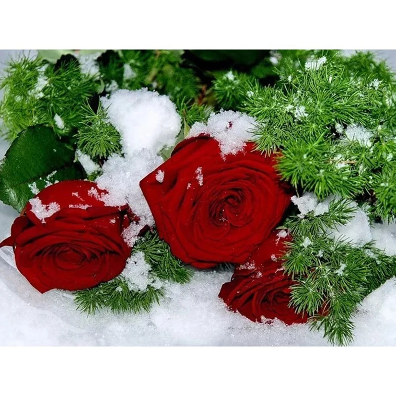Diamond Mosaic Flower Christmas DIY Diamond Painting Full Square/Round Diamond New Arrival Home Diamond Embroidery Rose
Diamond Mosaic Flower Christmas DIY Diamond Painting Full Square/Round Diamond New Arrival Home Diamond Embroidery Rose