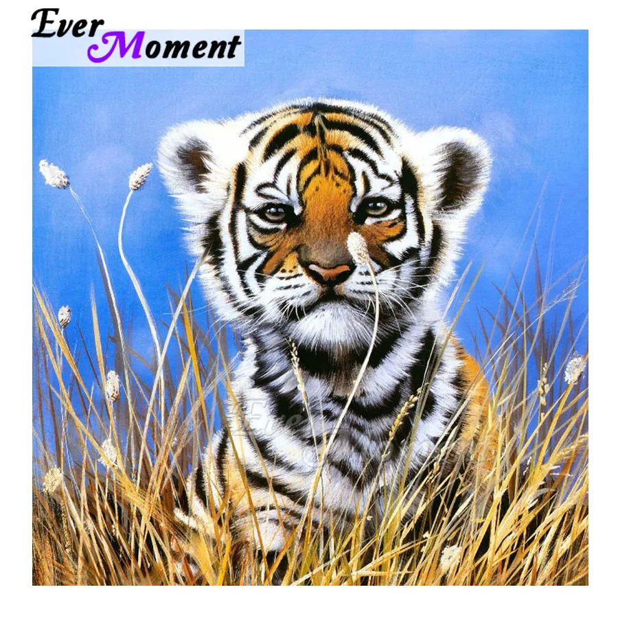 Ever Moment Алмазная картина с белым тигром и травой 5D DIY мозаика полностью квадратная