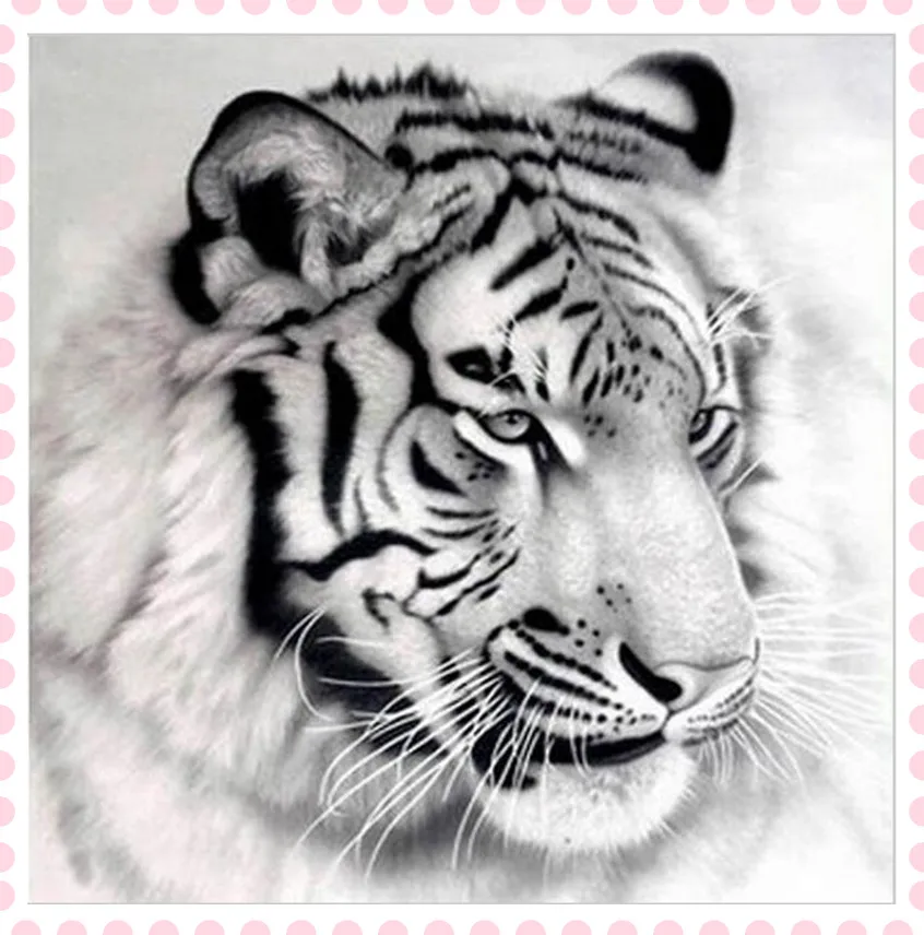 Фото Сибирский тигр сделай сам 5D алмазная живопись квадратная Алмазная вышивка dmc