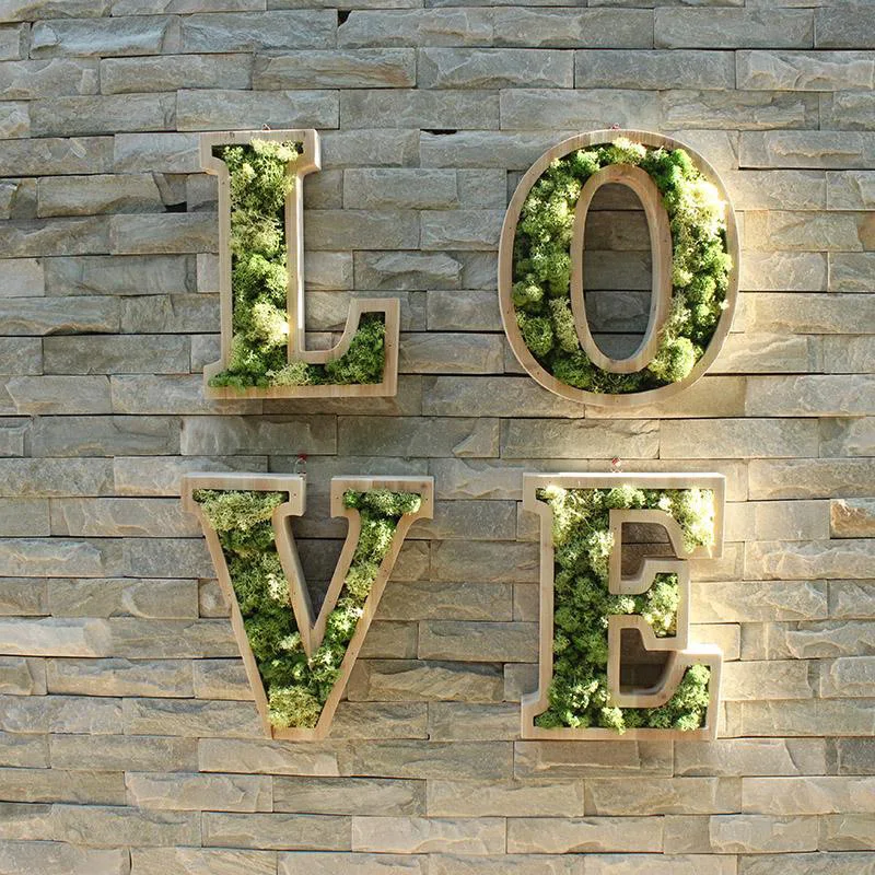 200g 1 pc Foam Green Moss Potted Decorations Floor FAKE Artificial Dried Moss for Flowers Grass Green Wall Decoration Moss
200g 1 pc Foam Green Moss Potted Decorations Floor FAKE Artificial Dried Moss for Flowers Grass Green Wall Decoration Moss