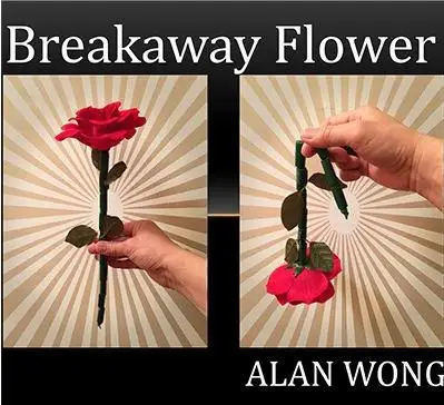The burst Flower от Alan Wong-волшебный трюк, искусство, крупный план, магические реквизиты, улица, аксессуары, ментализм, игрушки
The burst Flower от Alan Wong-волшебный трюк, искусство, крупный план, магические реквизиты, улица, аксессуары, ментализм, игрушки