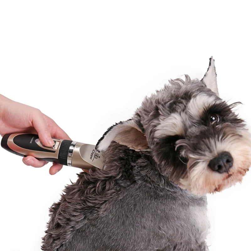 Professional Kit Rechargeable Low Noise Pet Cat Dog Hair Trimmer High Quality Electrical Clipper Shaver Set Haircut Machine
Professional Kit Rechargeable Low Noise Pet Cat Dog Hair Trimmer High Quality Electrical Clipper Shaver Set Haircut Machine