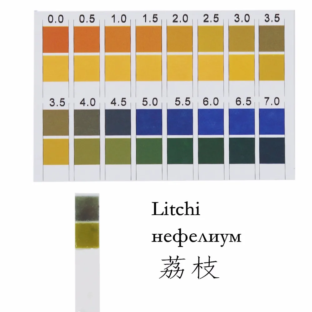 Litmus pH Test Strips, Universal Application (pH 0-7) for Household Drinking Water 20%OFF
Litmus pH Test Strips, Universal Application (pH 0-7) for Household Drinking Water 20%OFF