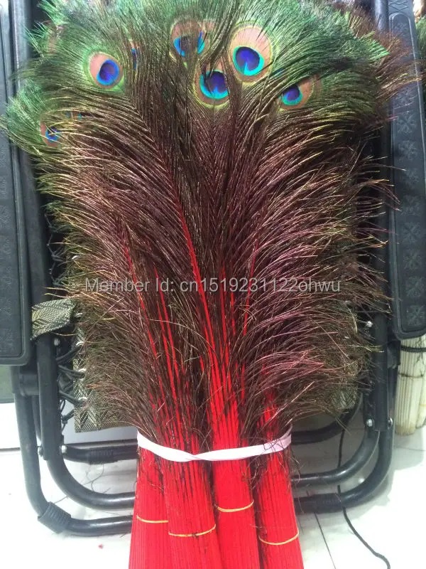 Free shipping wholesale 100 pcs 75-80cm / 30-32 inch high quality red peacock feather diy Wedding decoration
Free shipping wholesale 100 pcs 75-80cm / 30-32 inch high quality red peacock feather diy Wedding decoration