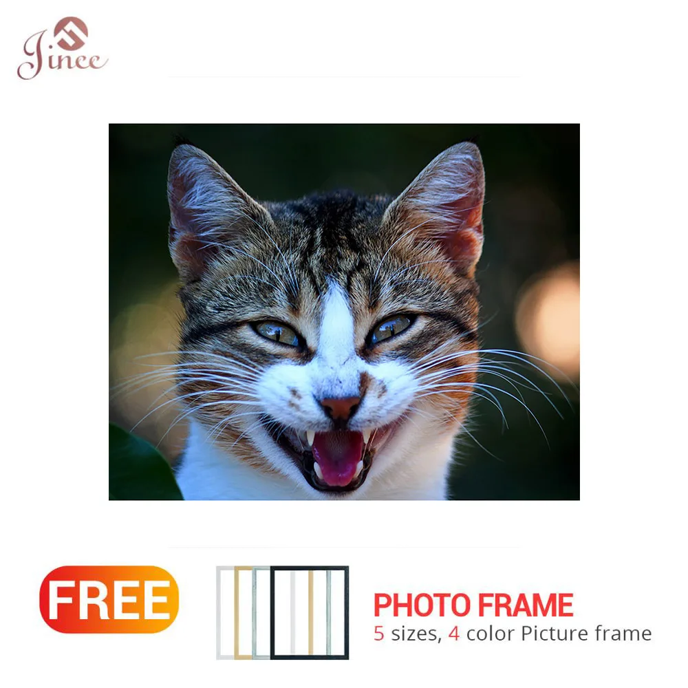 Full Square/Round Drill 5D DIY Diamond Painting "Animal Cat" 3D Embroidery Cross Stitch 5D Home Decor Gift
Full Square/Round Drill 5D DIY Diamond Painting "Animal Cat" 3D Embroidery Cross Stitch 5D Home Decor Gift