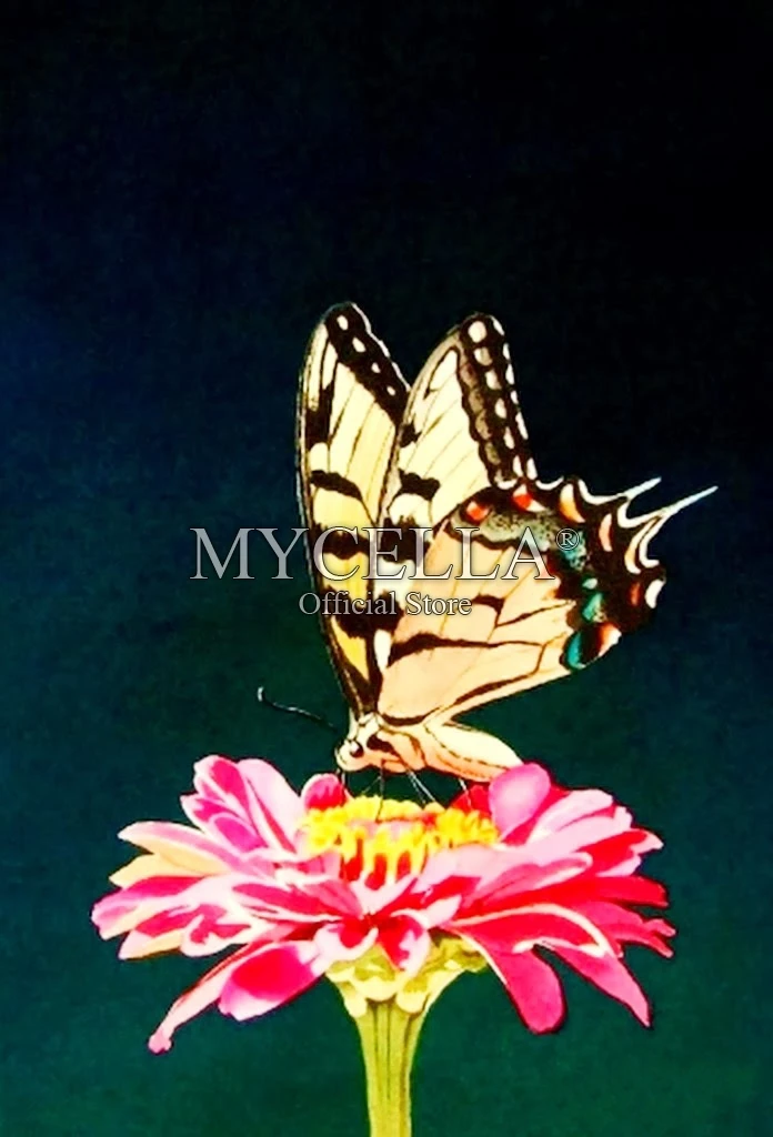 5D Needlework Diy Diamond Painting Cross Stitch Flower And Butterfly Diamond Embroidery Full Round Rhinestone Home Decor Crafts
5D Needlework Diy Diamond Painting Cross Stitch Flower And Butterfly Diamond Embroidery Full Round Rhinestone Home Decor Crafts