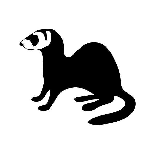17cm x 12cm Ferret Walking JDM Vinyl Decal Car Window Truck Bumper Auto Door Laptop Kayak Sticker 13 Colors
17cm x 12cm Ferret Walking JDM Vinyl Decal Car Window Truck Bumper Auto Door Laptop Kayak Sticker 13 Colors
