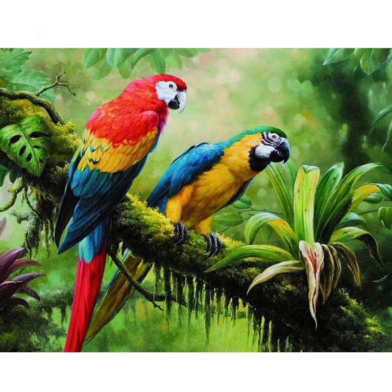 5D DIY Diamond Painting Colorful Macaws in the Rainforest Rhinestones Painting Mosaic Full Square Diamond Embroidery sale Z1154
5D DIY Diamond Painting Colorful Macaws in the Rainforest Rhinestones Painting Mosaic Full Square Diamond Embroidery sale Z1154