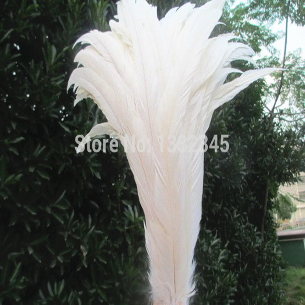 wholesale lot of 100 computers 12-14 inches / 30-35 cm white loose rooster tail feather dress/hat clip
wholesale lot of 100 computers 12-14 inches / 30-35 cm white loose rooster tail feather dress/hat clip