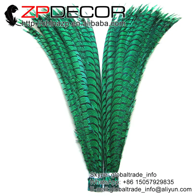 ZPDECOR 32-36 дюймов (80-90 см) 50 шт./лот Келли зеленая окрашенная Зебра леди Amherst фазан хвост центр перья для показа мод
ZPDECOR 32-36 дюймов (80-90 см) 50 шт./лот Келли зеленая окрашенная Зебра леди Amherst фазан хвост центр перья для показа мод