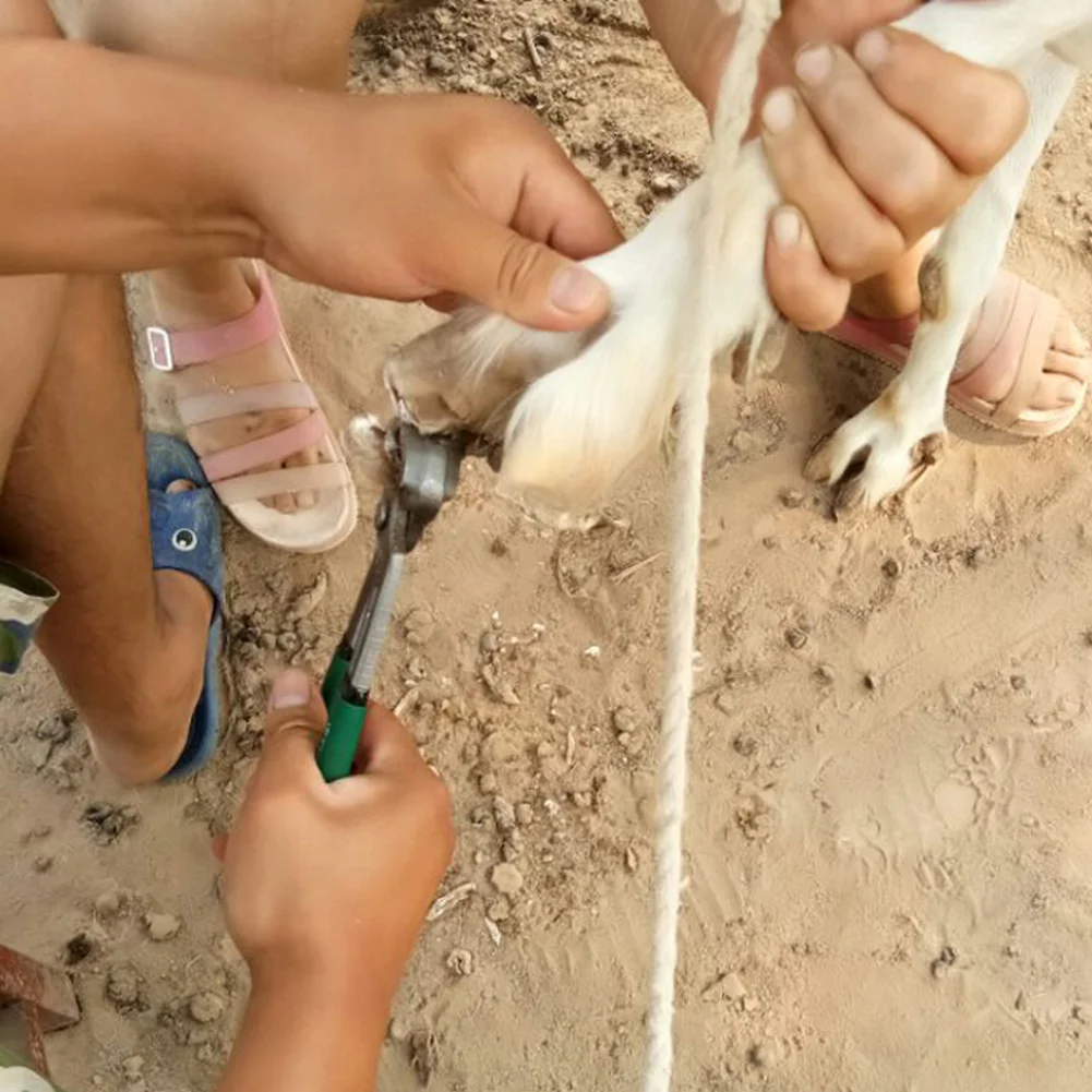 1 Pcs Cattle Horse Cow Hoof Clippers Repair Hoof Scissors Non-slip Grips Pincers Pliers Nippers Snips Nail Puller Tools 205 mm
1 Pcs Cattle Horse Cow Hoof Clippers Repair Hoof Scissors Non-slip Grips Pincers Pliers Nippers Snips Nail Puller Tools 205 mm