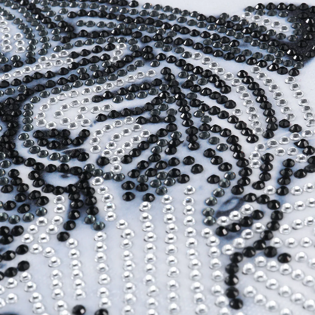4Pcs Animal Tiger Dragon Wolf Special Shaped Diamond Painting Crystal Rhinestones 5D DIY Diamond Embroidery Decor Cross Stitch
4Pcs Animal Tiger Dragon Wolf Special Shaped Diamond Painting Crystal Rhinestones 5D DIY Diamond Embroidery Decor Cross Stitch