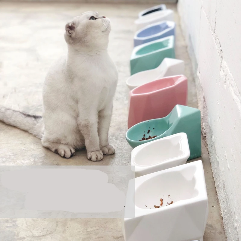 New Ceramics Pet Cat Bowl Cute Durable Travel Feed Food Water Dish Bowl for Small Dog Cats Puppy Products for Pets Dog Feeder
New Ceramics Pet Cat Bowl Cute Durable Travel Feed Food Water Dish Bowl for Small Dog Cats Puppy Products for Pets Dog Feeder