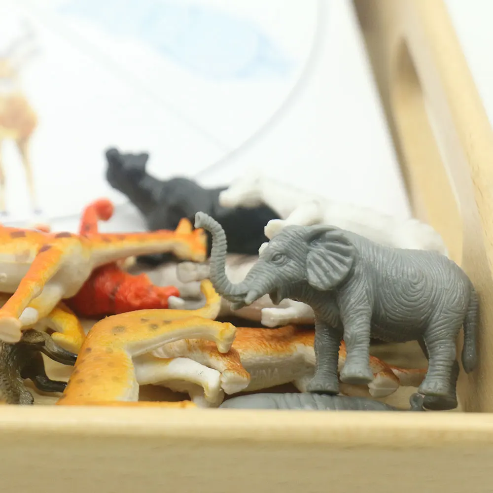 Clip and Learn Animals Beginning Sounds Circle Shape Word Learning Montessori Language Material Educational Material ME1544H
Clip and Learn Animals Beginning Sounds Circle Shape Word Learning Montessori Language Material Educational Material ME1544H
