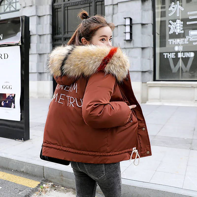 2018 Fashion Large Fur Collar Winter Coat Women Thick Warm Outerwear Female Short Down Jacket Women Plus Size Casual Parka LQ176
2018 Fashion Large Fur Collar Winter Coat Women Thick Warm Outerwear Female Short Down Jacket Women Plus Size Casual Parka LQ176