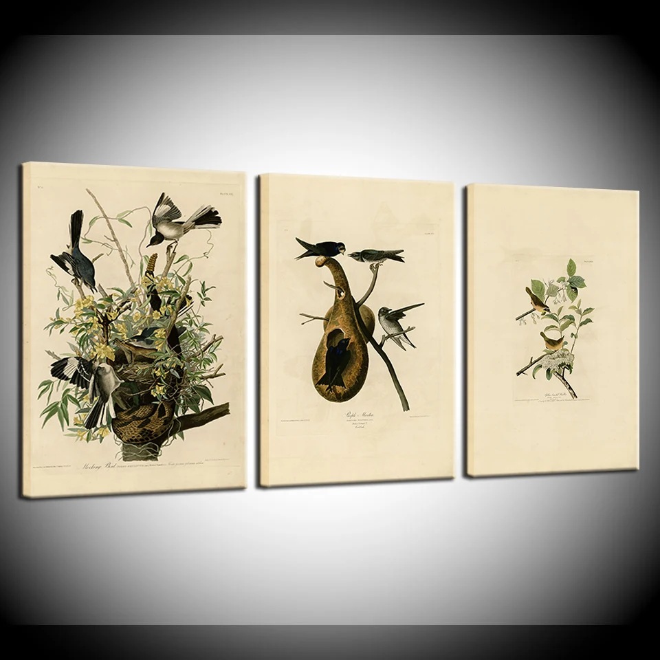 Canvas Painting bird and rattlesnake Nordic Style Living Room Wall Art Pictures Home Decor Canvas Painting Drop Shipping
Canvas Painting bird and rattlesnake Nordic Style Living Room Wall Art Pictures Home Decor Canvas Painting Drop Shipping