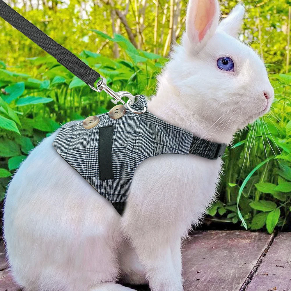 Hamster Rabbit Dog Harness Vest Small Animals Hamster Accessories Pet Puppy Harness Leash Lead Set For Ferret Guinea Pig Kitten
Hamster Rabbit Dog Harness Vest Small Animals Hamster Accessories Pet Puppy Harness Leash Lead Set For Ferret Guinea Pig Kitten