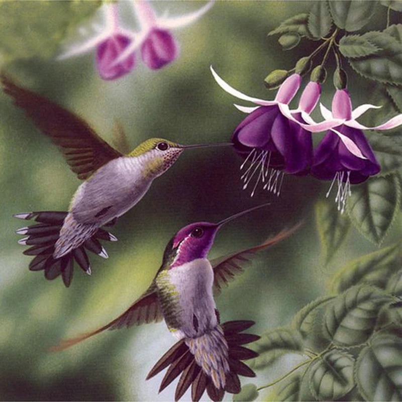DIY Алмазная картина крестиком Колибри цветок 5D квадратные Стразы изображение полного бриллианта вышивка мозаика ручной работы
DIY Алмазная картина крестиком Колибри цветок 5D квадратные Стразы изображение полного бриллианта вышивка мозаика ручной работы